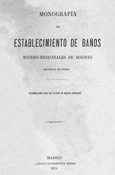 Monografía del Establecimiento de baños minero-medicinales de Borines, provincia de Oviedo: enfermedades para las cuales se hallan indicadas