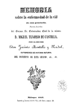 Memoria sobre la enfermedad de la vid de esta provincia: escrito de orden del Excmo. Sr. Gobernador Civil de la misma D. Miguel Tenorio de Castilla