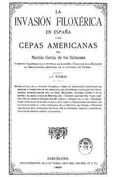 La invasión filoxérica en España y las cepas americanas