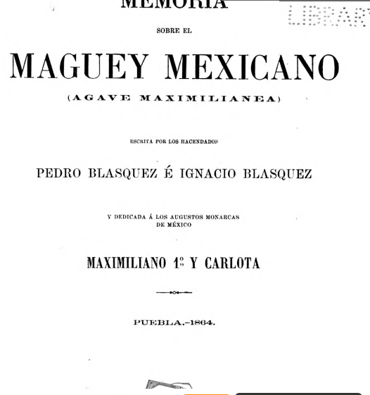 Memoria sobre el maguey mexicano (agave maximiliana)