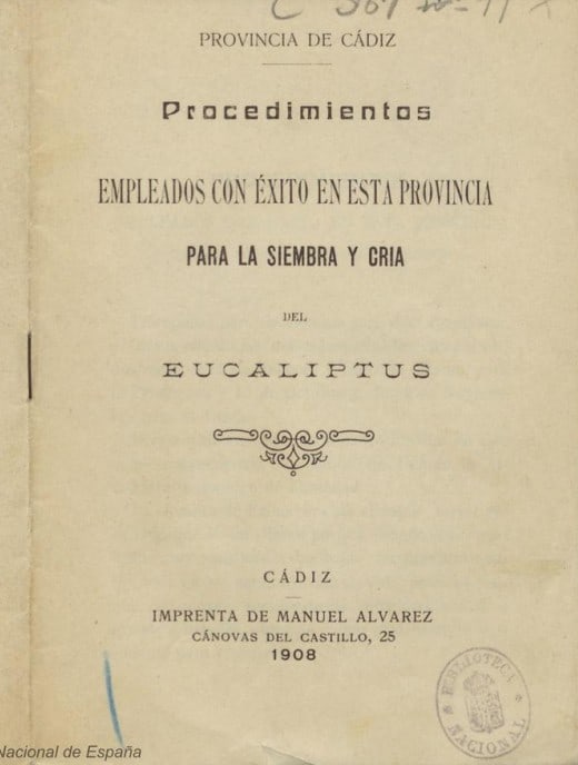 Provincia de Cádiz, Procedimientos empleados con éxito en esta provincia para la siembra y cría del eucaliptus